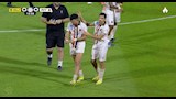 تريزيجيه (11) (1)