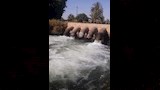 ضخ مياه الرى