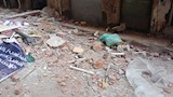 بسبب انفجار ميكرويف.. 3 مصابين وانهيار شرفات وتحطم 4 سيارات بالإسكندرية (صور)