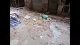 انفجار ميكرويف في منطقة الحضرة بالإسكندرية (4)