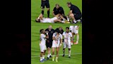 تريزيجيه (3)