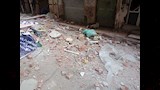 انفجار غاز يهز منطقة الحضرة بالإسكندرية (7)