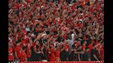 جماهير الأهلي تشعل أجواء مباراة المقاولون بهتافات قوية (فيديو)