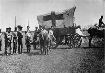 حيوانات السيرك ساعدت بريطانيا في الحرب العالمية الأولى