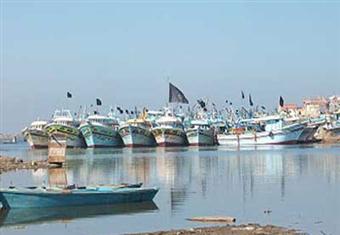 "زراعة النواب" تحسم أزمة تركيب أجهزة التتبع بمراكب الصيد بقانون "تنمية البحيرات"