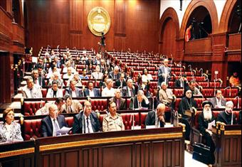 ممثل تمرد بالخمسين: مواد الجيش في الدستور سترضي الجميع 