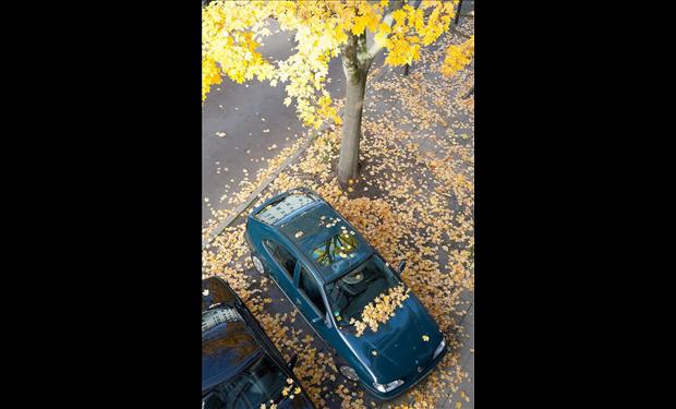 تدابير هامة قبل صف السيارة لفترات طويلة