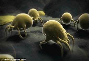 بالصور-  فيلم يؤكد: كائنات متوحشة تشاركك الفراش