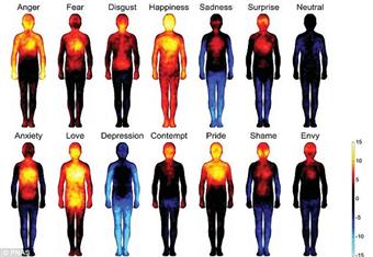 بالصور: كيف تؤثر المشاعر على البشر