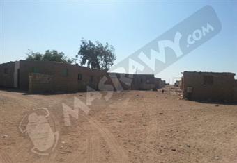 صور- أبورديس.. مدينة البترول والفقر