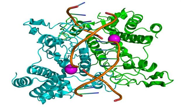 أوروبا تقف على اعتاب الموافقة على العلاج بالجينات