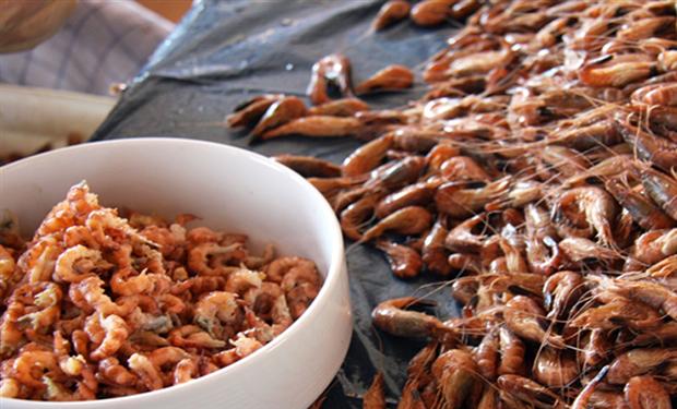 القشريات النيئة تنطوي على مخاطر صحية جسيمة