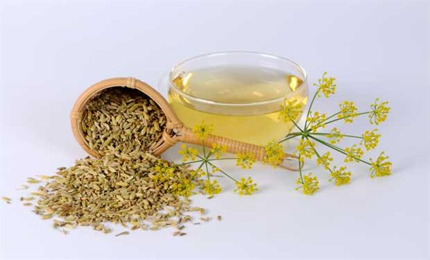 فوائد الشمر و إستخداماته المتعددة 