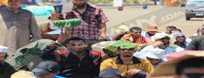 بالصور .. أنصار مرسي يتغطون بالنباتات في اعتصام ''النهضة''