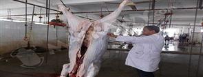 "الجزارين": جنيه زيادة بسعر كيلو اللحمة في المذبح.. وتراجع انتعاشة رمضان