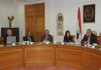 الاسكان والبيئة: بدء تشغيل الطاقة الشمسية في أسوان الجديدة