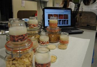 علماء ينجحون في صنع ''زبادي'' من النباتات