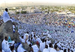 ٧٨ ألف حاج مصري يصعدون عرفات تمهيدًا لأداء ركن الحج الأعظم