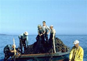 السفارة المصرية تؤكد أن الصيادين المصريين المحتجين باليمن بخير