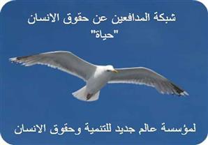 شبكة المدافعين عن حقوق الإنسان تطالب بالقصاص لشهداء سيناء
