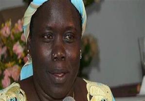 وزيرة الري بجنوب السودان تختتم زيارتها لمصر