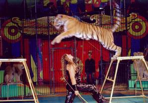 جلال عثمان: لن نسمح بتأجير السيرك القومي 