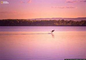 بالصور...ناشونال جيوجرافيك تعلن عن الصور الفائزة في مسابقة الحياة البرية لعام 2014