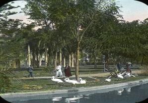 حديقة الأزبكية 1903