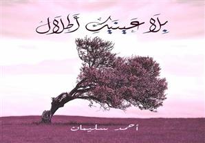 ''بلا عينيكِ أطلال''.. ديوان شعر لأحمد سليمان صادر عن دار الحلم 