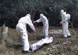 "الصحة العالمية" تؤكد ظهور "إيبولا" في الكونغو الديموقراطية