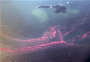 صور استثنائية تظهر مشهد ساحر للمد والجزر على شاطئ في الصين