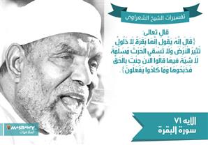 تفسير الشعراوي للآية 71 من سورة البقرة