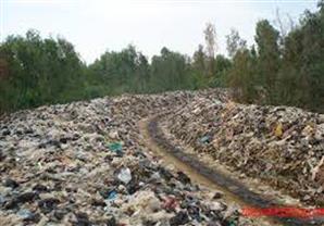 رئيس جهاز شئون البيئة يلتقى بوفد الفلاحين لحل مشاكل المخلفات الزراعية