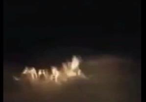 شاهد شاب يتمكن من تصوير "جنية" على الطريق