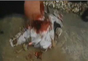 الدايلي ميل: طالبان تستخدم ''الطيور الانتحارية'' في هجماتها