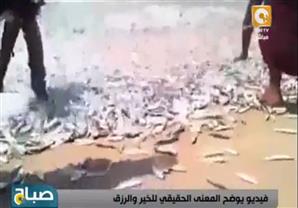  أمواج من السمك في الهند