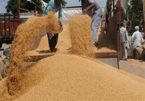 مصر توقع عقداً مع شركة أمريكية لتطوير تخزين القمح