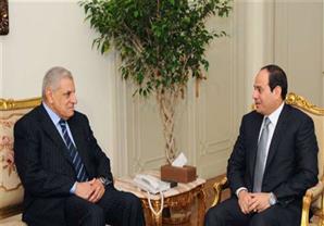صقور مصر تشكر السيسي ومحلب لدعمها المجتمع المدني