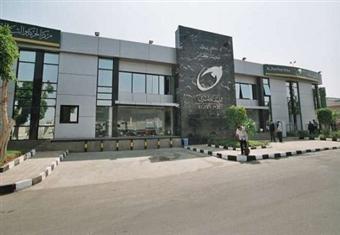 البريد المصري يفوز برئاسة فريق عمل الخدمات البريدية الإلكترونية