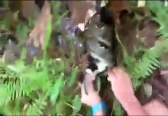 شاب ينقذ قطة من قبضة وأنياب حية  