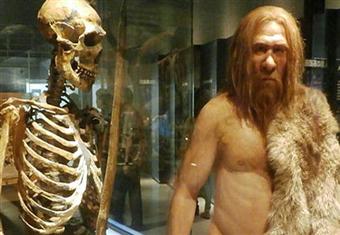 دراسة: الإنسان القديم انقرض قبل ظهور الإنسان الحديث