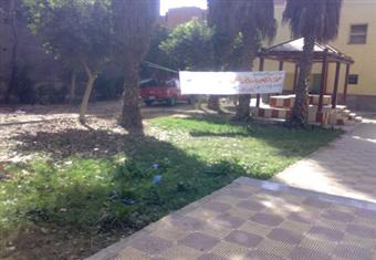 الوحدات الصحية في مصر.. هل تؤدي دورها أم مجرد ديكور؟