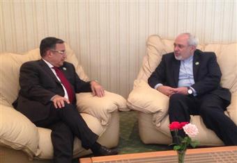 فهمي يبحث مع نظيره الإيراني سبل حل الأزمة السورية سياسيا