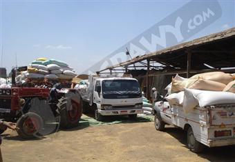 توريد 46.6 ألف طن من القمح المحلي لصوامع قنا حتى الآن