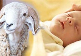 هل يجوز ذبح العقيقة في اليوم 13 ليتم الإطعام منها في اليوم 14؟