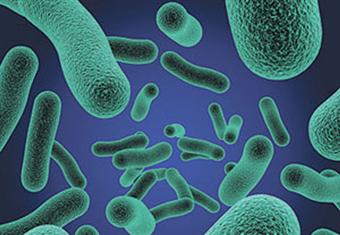 مضاد حيوي مقاوم للبكتيريا في المنتجات الغذائية لأول مرة