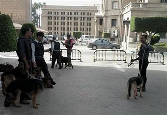 بالصور.. كلاب بوليسية لتأمين احتفالية انتهاء العام الدراسي بجامعة القاهرة