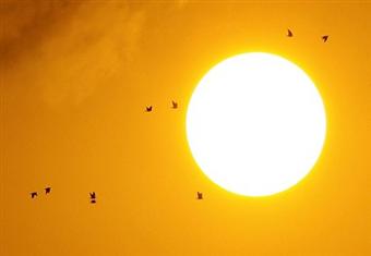 معهد الفلك: صيام رمضان أكثر من 15 ساعة يومياً 