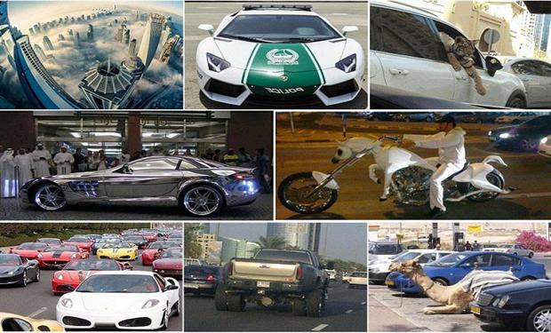 تلك الصور تجدونها فقط فى الامارات