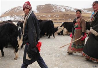 سكان المرتفعات لديهم جينات موروثة تساعدهم على التأقلم